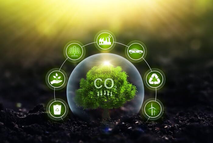 Zielona transformacja – dotacje na redukcję CO₂ dla firm w 2025 roku