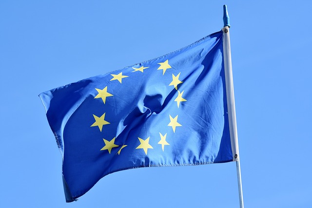 Flaga Unii Europejskiej -dueconsulting