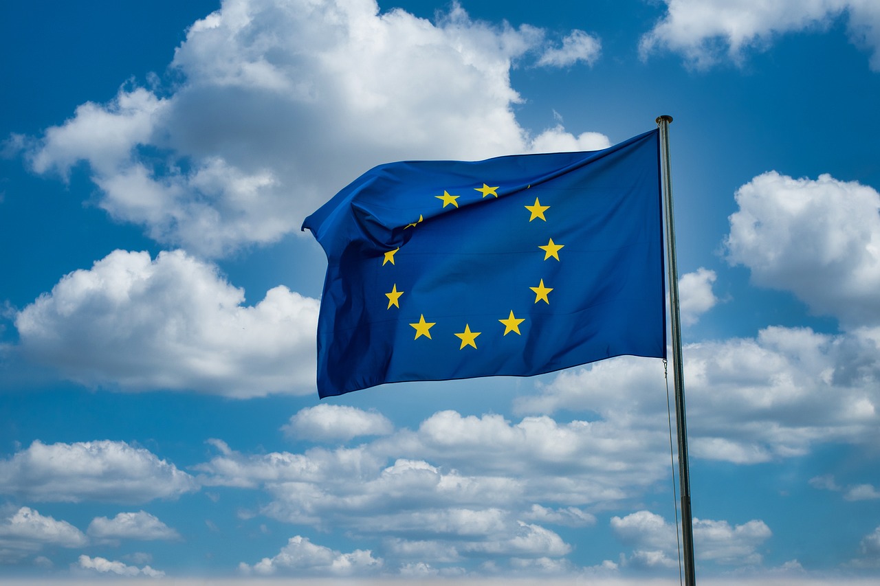 Flaga unii europejskiej - dueconsulting